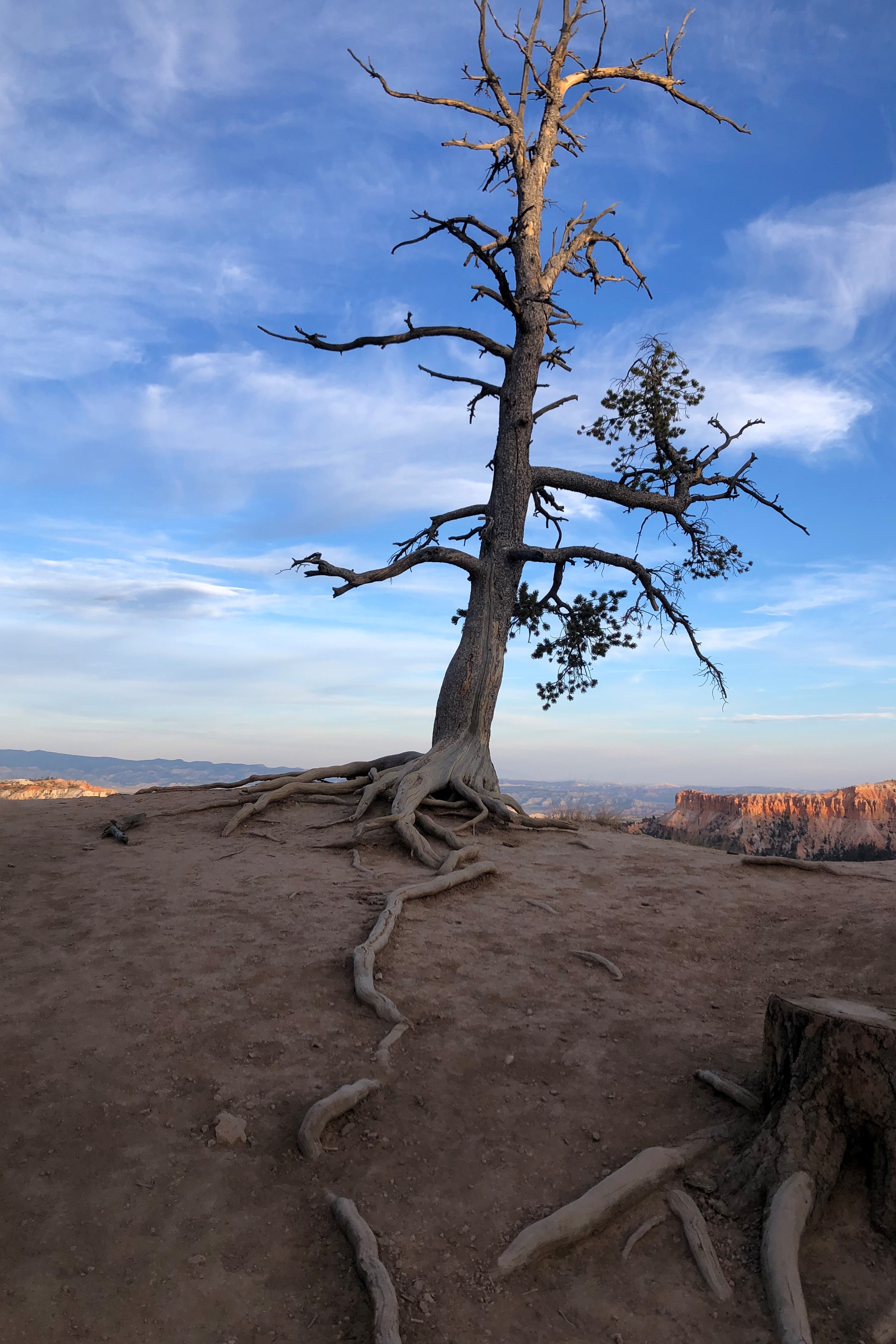 Bryce Canyon NP